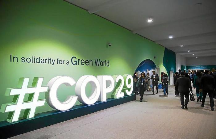 Diplomatischer Vorfall bei Cop29: „Unsere Tür bleibt offen“, sagt der aserbaidschanische Chefunterhändler gegenüber Frankreich