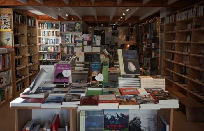 Die literarische Chronik der Buchhandlung Voyage au bout des livres