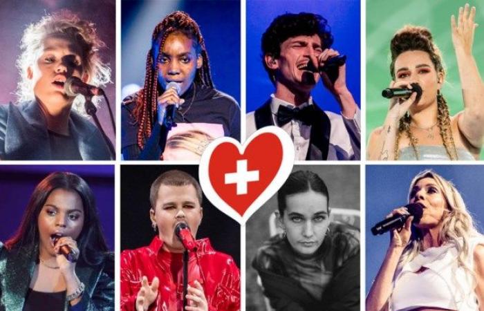 Diese acht Kandidaten konkurrieren um einen Platz beim Eurovision Song Contest: von der Schwester von Metejoor bis zum Enkel von Louis Neefs