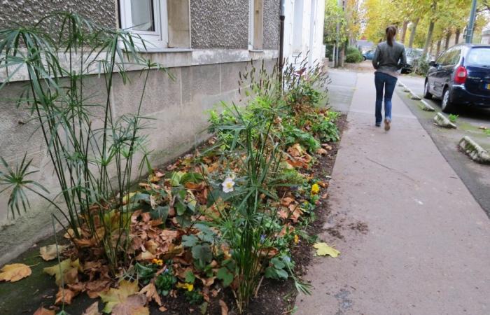 Ein Bewohner von Rodez wurde von einem 22-jährigen Mann auf der Straße vergewaltigt