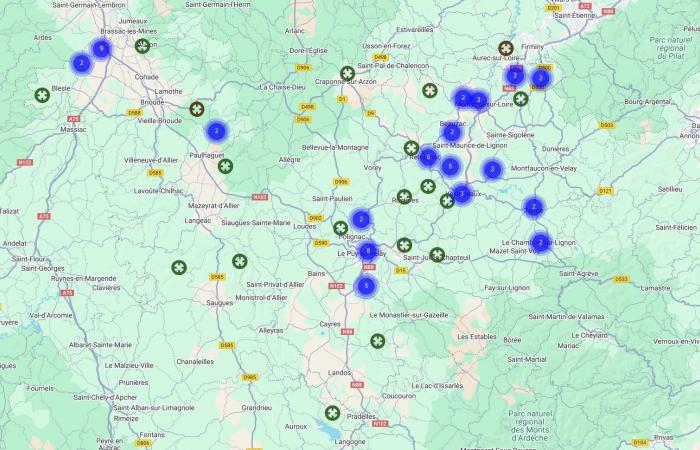 Diese besorgniserregende Invasion der Asiatischen Hornisse in der Haute-Loire