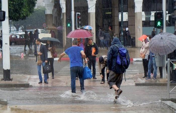 Wetter morgen Donnerstag: Gewitter in diesen Gebieten