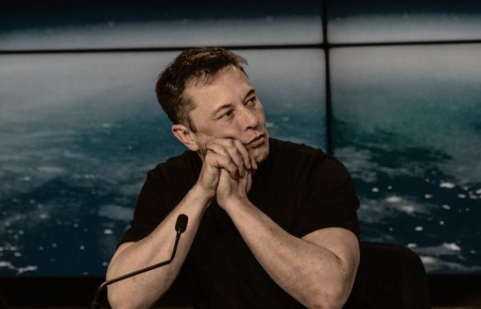 Ein Minister gratuliert Elon Musk: Panik auf der Linken