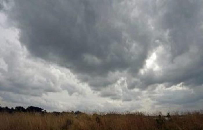 Bewölktes Wetter und leichter Regen an diesem Donnerstag, 14. November