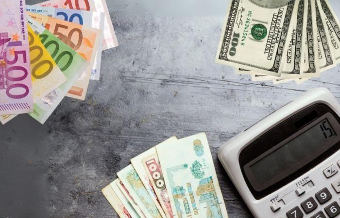 Der Euro steigt, der Dollar hält seinen Rekord auf dem Schwarzdevisenmarkt in Algerien