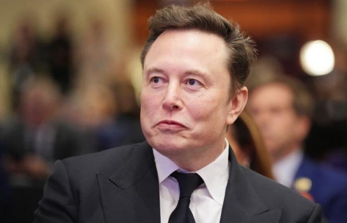 Elon Musk startet Rekrutierung für sein „Ministerium für Regierungseffektivität“