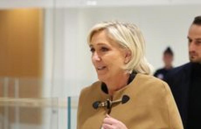 CHECK – Marine Le Pen im Visier eines „politischen Prozesses“? Wir haben die Argumente der extremen Rechten überprüft