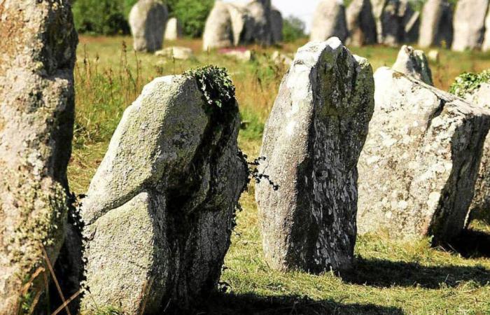 Megalithen von Morbihan: Welche Auswirkungen könnte die UNESCO-Klassifizierung haben?