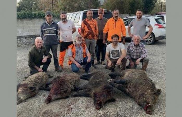 Ein 167 kg schweres Wildschwein in Lot et Garonne