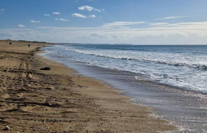 Coutances Sea und Bocage wollen beschleunigen, eine Gemeinde spielt „das Sandkorn“