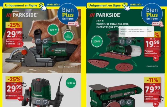 Lidl senkt ab Montag die Preise für seine Parkisde-Einführung in den Läden