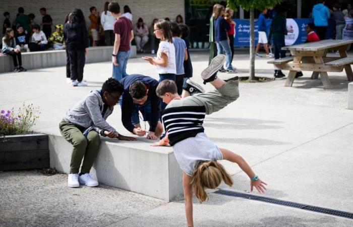 warum Kinder in ihrem Garten verbundene Westen tragen mussten