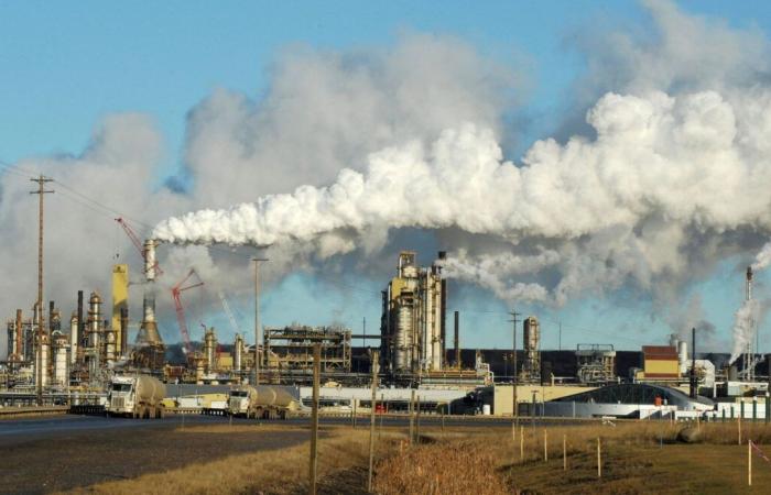 Mehrere Vertreter fossiler Brennstoffe in der kanadischen Delegation zur COP29