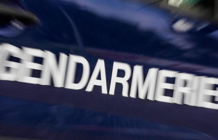 In der Nähe von Vendôme nimmt die Gendarmerie zwei Drogendealer fest