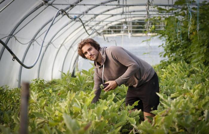 „Natürlich muss der Hof lebensfähig sein, aber in meinem eigenen Tempo“, Porträt eines Landwirts der neuen Generation