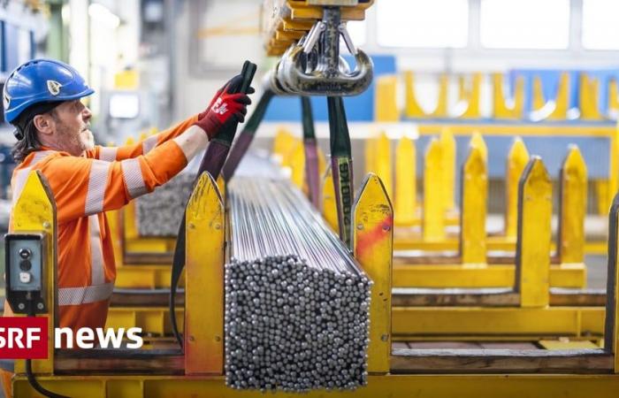 Krise der Stahlbranche – Stahlkonzern Swiss Steel baut 800 Stellen ab – News