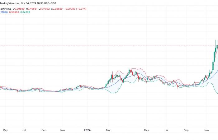 Dogecoin steht vor einer Verlangsamung: Rückgang erwartet?