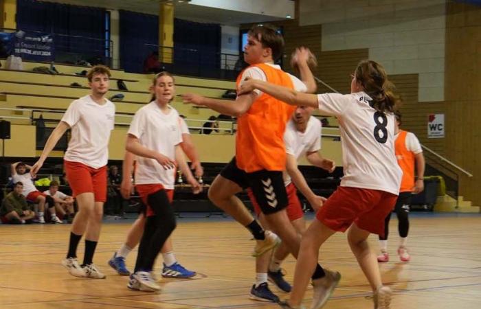 Hochschulsport: 3 Goldmedaillen in Basketball, Fußball und Handball für Le Creusot-Studenten