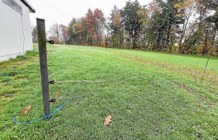 In Jugon-les-Lacs, von Wildschweinen gepflügt, der von der Gemeinde eingezäunte Fußballplatz