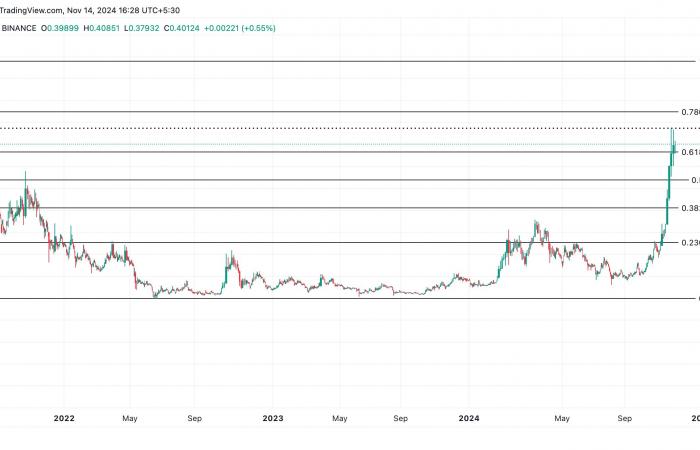 Dogecoin steht vor einer Verlangsamung: Rückgang erwartet?