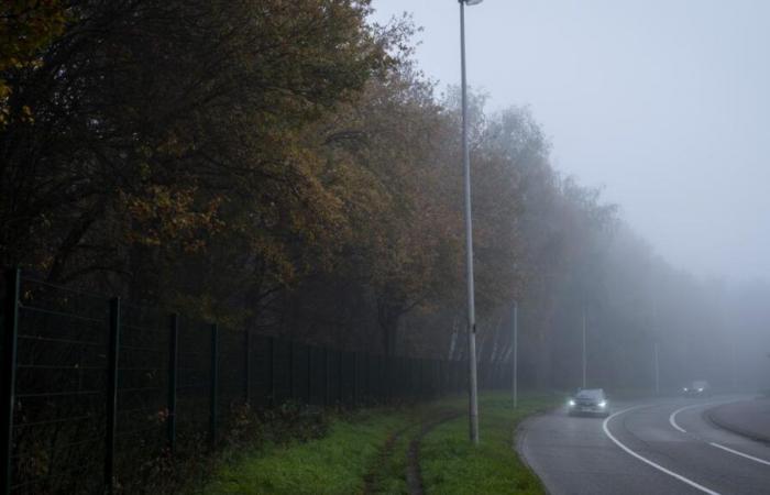 Nebel, sinkende Temperaturen … hier ist die Wettervorhersage für die nächsten Tage