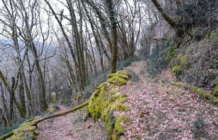 Vayrac. Telethon: die Puy d’Issolud-Wanderung