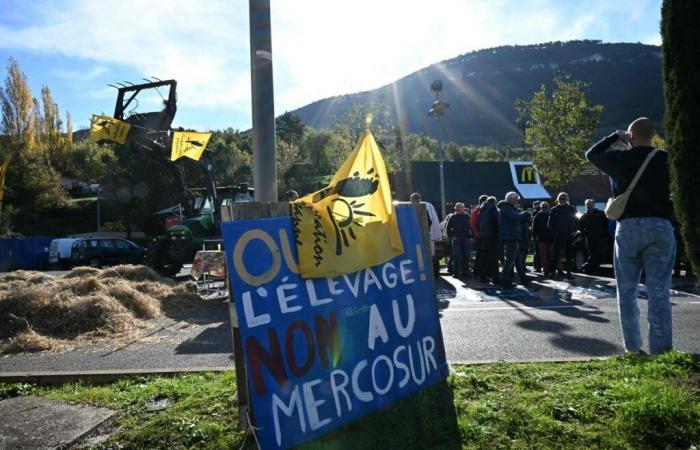 Welche tatsächlichen Auswirkungen hätte eine Einführung auf die französische Landwirtschaft?