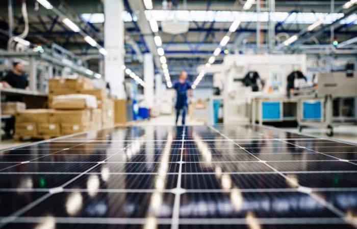 Solarfirma Meyer Burger verliert grössten Kunden – Aktie im freien Fall