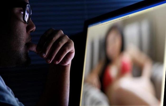 Warum bestimmte pornografische Seiten von Frankreich aus nicht mehr zugänglich sind