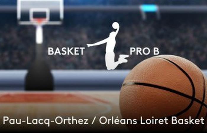 Spitzenduell zwischen Pau-Lacq-Orthez und Orléans Loiret Basket auf dem NOA-Kanal