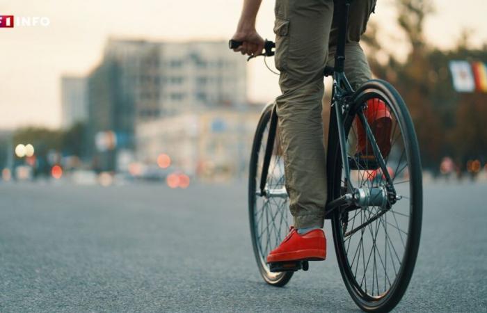 Kaufkraft, Umwelt, Gesundheit … die von Verbänden gelobten Vorteile des Wanderns und Radfahrens