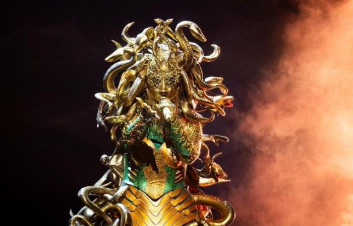 Medusa tritt in „The Masked Singer“ gegen Tina Turner an