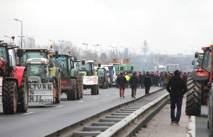 In Tarn demonstrieren die Landwirte in verstreuter Reihenfolge, aber die Aktionen versprechen spektakulär zu werden