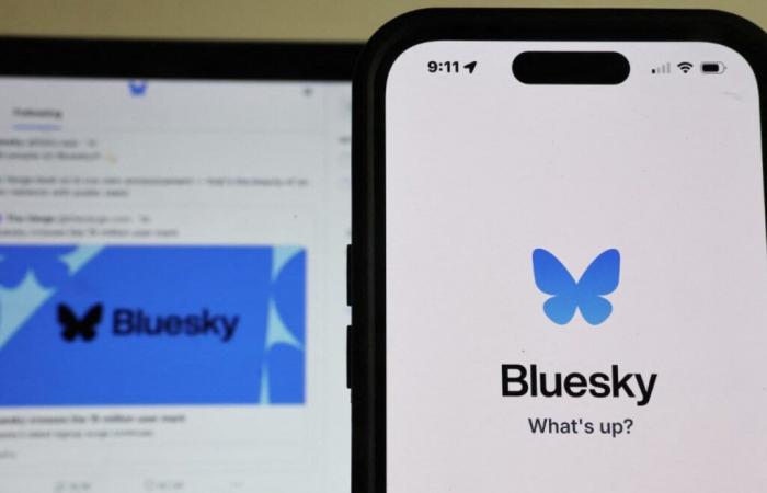 Soziale Netzwerke: Bluesky gewinnt 1 Million Nutzer in 24 Stunden, ein Zeichen des Misstrauens gegenüber Elon Musks X – 15.11.2024 um 13:50 Uhr