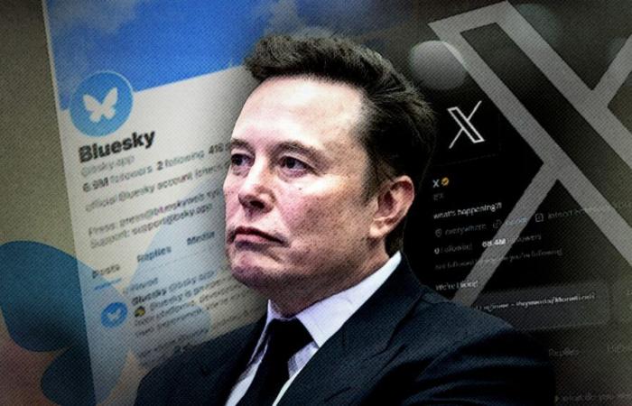 Der X-Exodus – könnte der Bluesky-Anstieg das Ende von Elon Musks Social-Media-Plattform auslösen? | Wissenschafts-, Klima- und Technologienachrichten