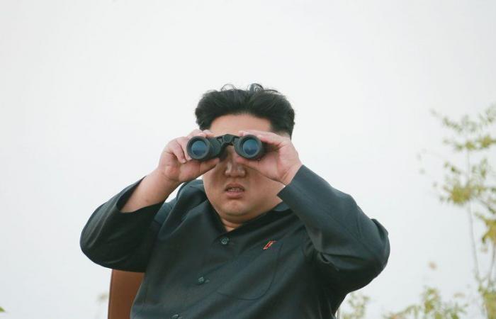 Kim Jong Un ordnet „massive Produktion“ explosiver Drohnen an, will er diese in der Ukraine oder in Südkorea einsetzen?