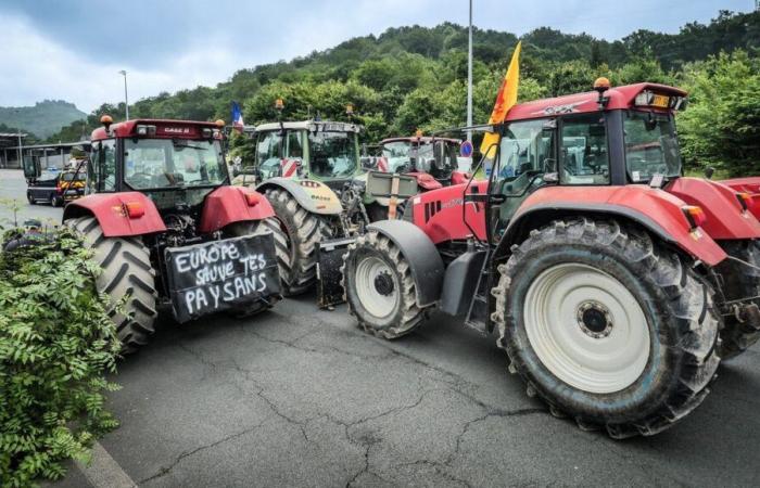 Agrarkrise: gemeinsame Aussagen von Landwirten und Imkern aus dem Norden