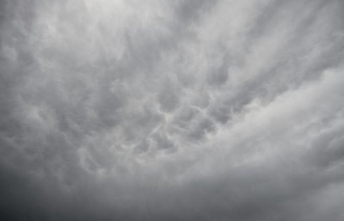 WETTER: Wie wird das Wetter an diesem Wochenende im Norden und im Pas-de-Calais sein?