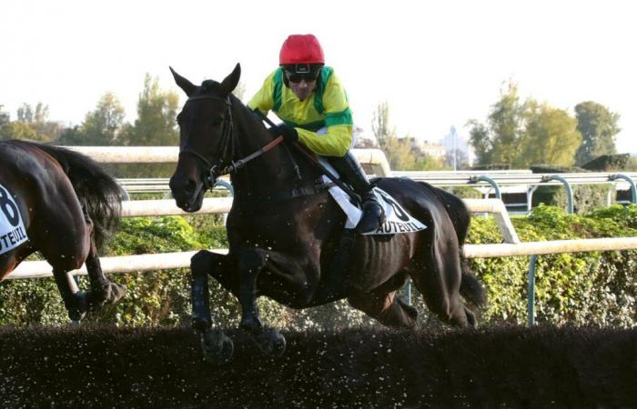 Sonntag in Auteuil – Bernard-Secly-Preis: Vorsicht vor „Nicolle“