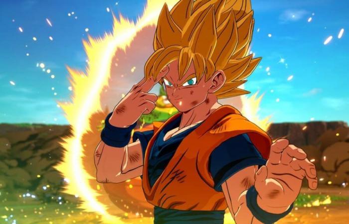 Dragon Ball Sparking Zero ist ein Riesenerfolg, aber nicht das, was man denkt