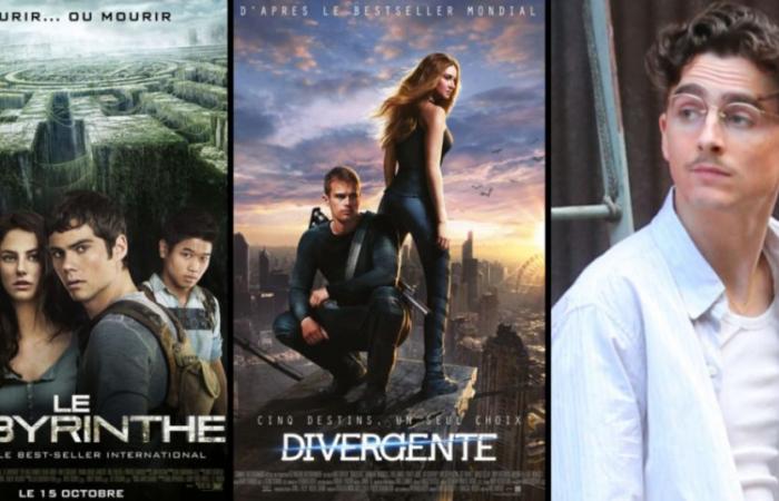 Timothée Chalamet, nicht muskulös genug für „The Labyrinth“ und „Divergent“?