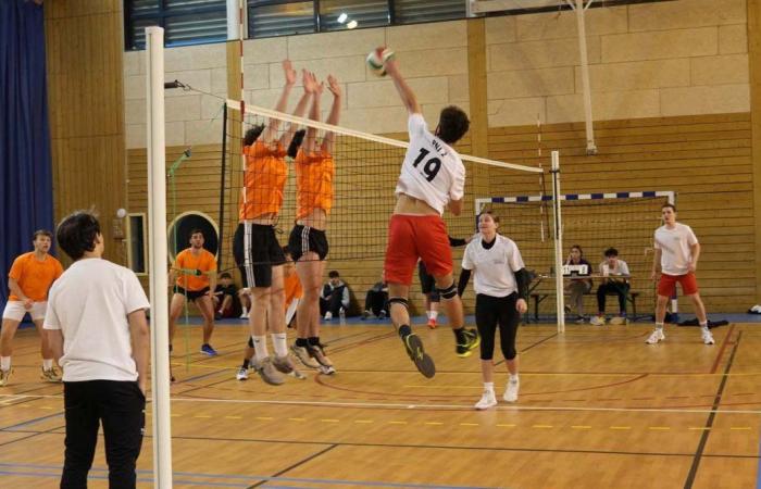 Hochschulsport: 3 Goldmedaillen in Basketball, Fußball und Handball für Le Creusot-Studenten