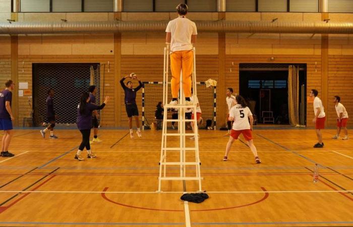 Hochschulsport: 3 Goldmedaillen in Basketball, Fußball und Handball für Le Creusot-Studenten