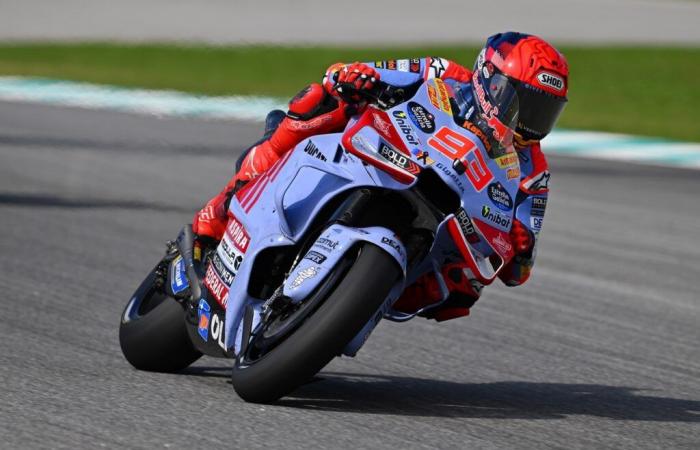 MotoGP, Andrea Dovizioso: „Dass Marc Marquez Pecco Bagnaia herausfordert, ohne Zweifel. Aber ich denke, dass Pecco auch Marc in eine Krise stürzen wird.“