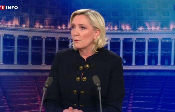 LIVE – Marine Le Pen, Gast bei TF1 um 20 Uhr.