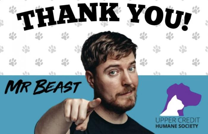 YouTube-Superstar MrBeast spendet an die lokale humanitäre Gesellschaft