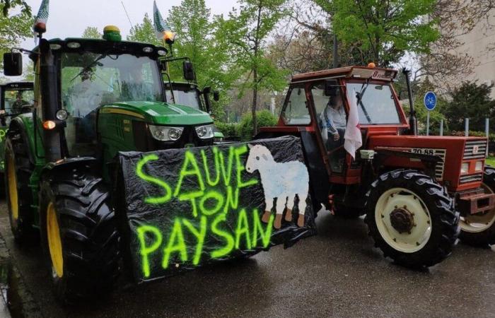 Mobilisierung der Landwirte: Welche Störungen gibt es an diesem Montag im Bas-Rhin?