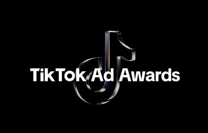 Tribal Morocco ist die einzige marokkanische Agentur, die bei den TikTok Ad Awards 2024 in die engere Wahl kam