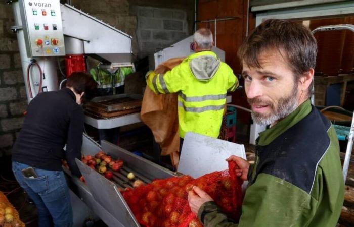 Im Ärmelkanal sollen seine Äpfel im Jahr 2024 5.000 Liter Saft und 15.000 Flaschen Apfelwein liefern