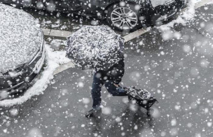 Schnee, Regen, starker Wind: Die alltäglichen Details der Aufregung nächste Woche